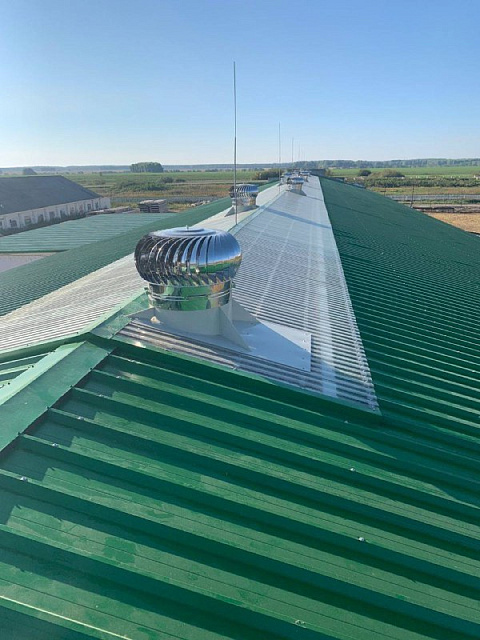 Профлист пэт (пластик), 3м, толщиной 1мм